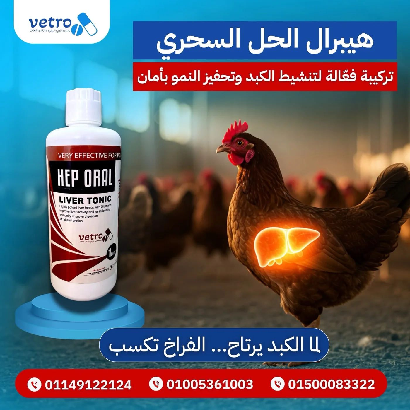 هيبرال